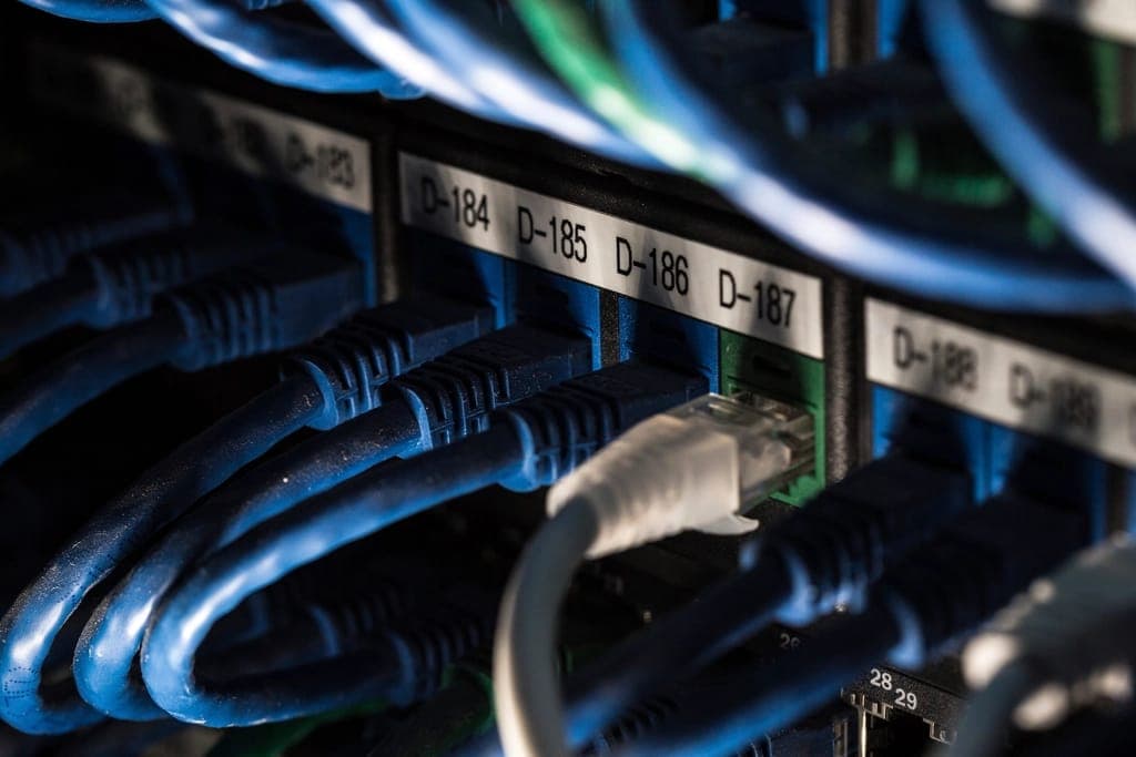 Labelled network cables plugged into a patch panel